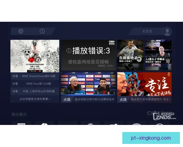 CIBN平台是否可以观看足球赛事直播的详细解析指南全面说明